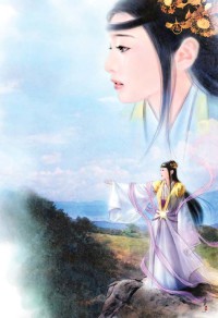 林府风云 作者:jolin258